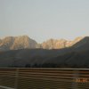 Bibione002