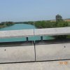 Bibione003