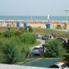 Bibione006