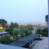 Bibione007