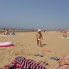 Bibione010