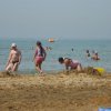 Bibione012