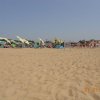Bibione013