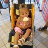 Bibione017