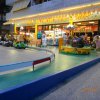 Bibione020