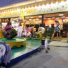 Bibione023