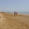 Bibione030