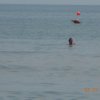 Bibione034