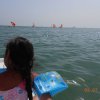 Bibione040