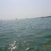 Bibione043