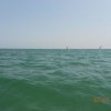 Bibione044