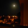 Bibione052