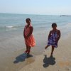 Bibione060