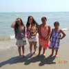 Bibione061