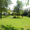 Bibione068