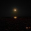Bibione079