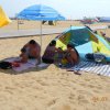Bibione091