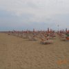 Bibione097