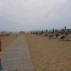 Bibione098