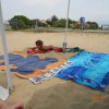 Bibione107