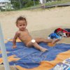 Bibione108
