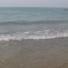 Bibione113