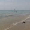 Bibione114