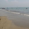 Bibione115