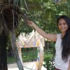 Philippine036
