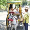 Philippine037