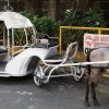 Philippine038