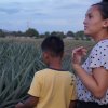 Philippine082